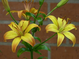 Foto: Dr. Peter Müller